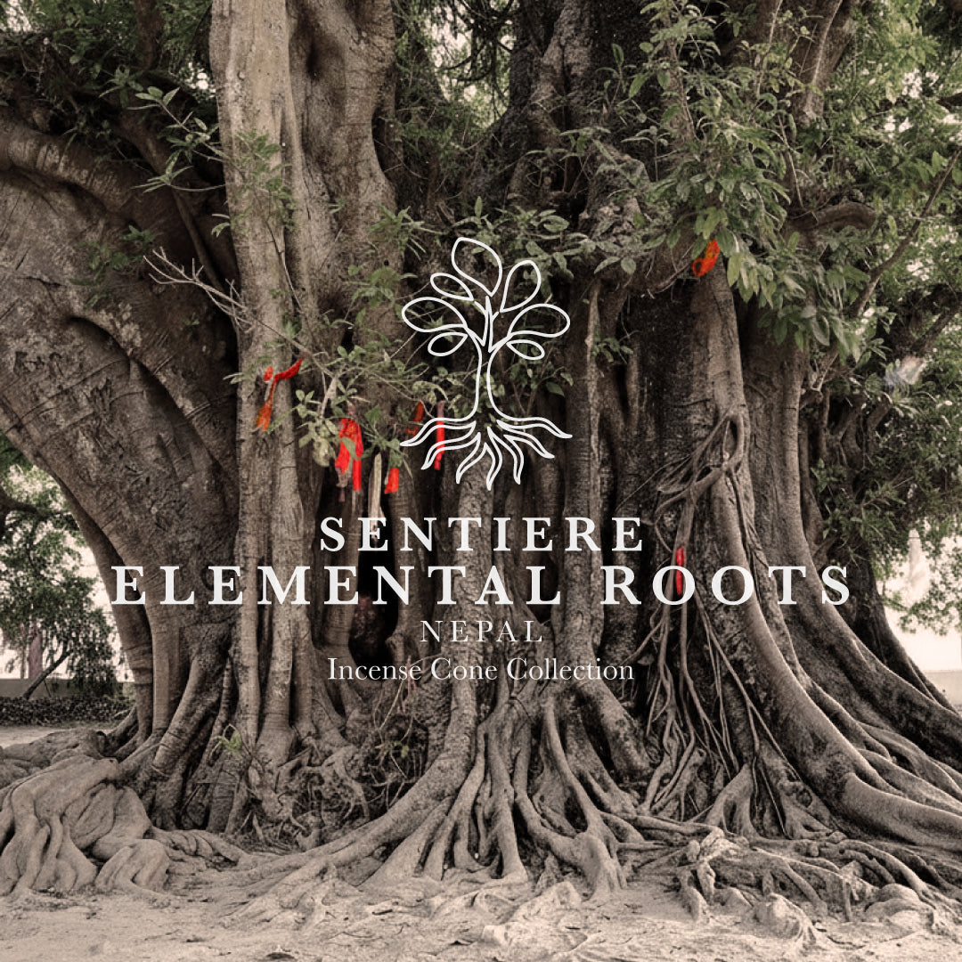 Nepal – SENTIERE: ELEMENTAL ROOTS Incense Cones Collection