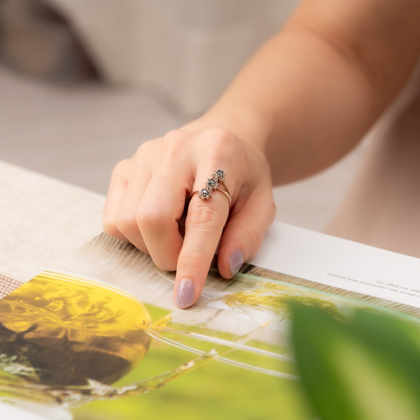 The Midnight Enchantment