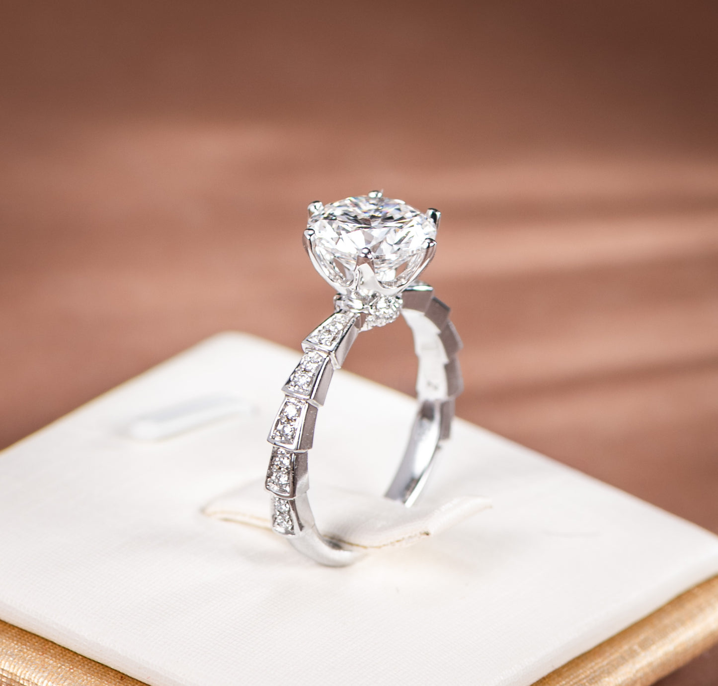 Silver ring with a large diamond and smaller diamonds on the band, set against a soft brown background.